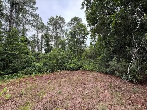 1360 S State Road 19 Palatka FL 32177