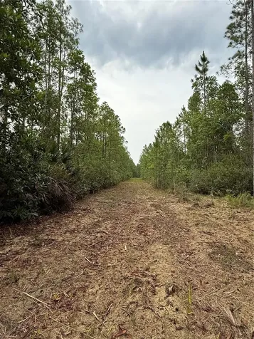 1360 S State Road 19 Palatka FL 32177