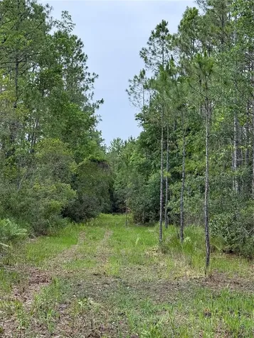 1360 S State Road 19 Palatka FL 32177