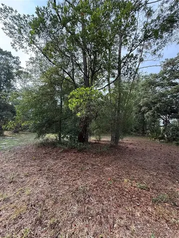1360 S State Road 19 Palatka FL 32177