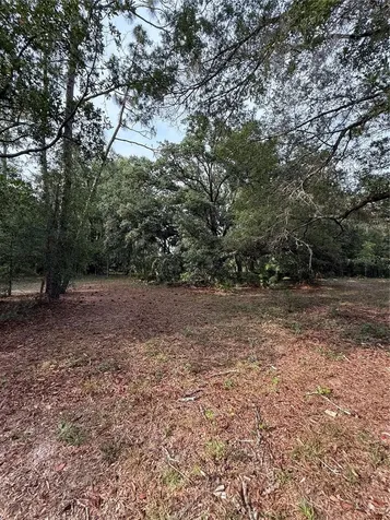 1360 S State Road 19 Palatka FL 32177