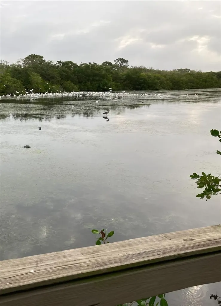 10521 Amberjack Way Englewood FL 34224