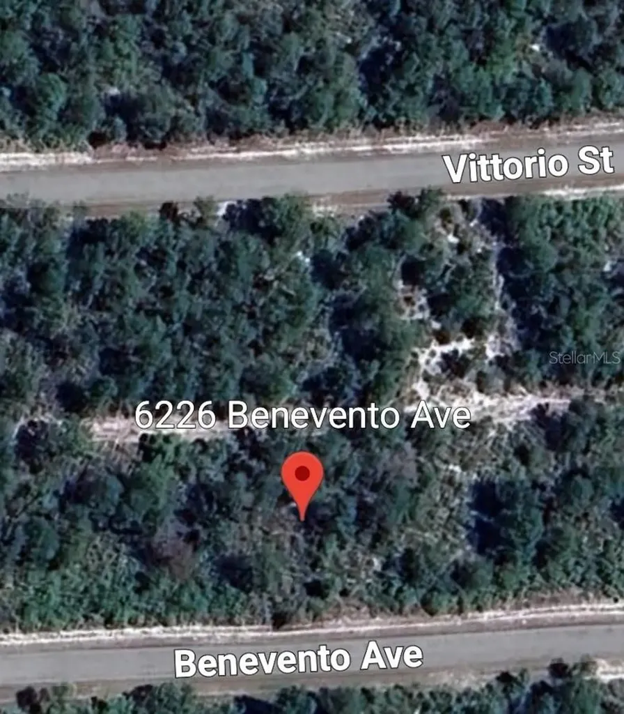 6226 Benevento Avenue Sebring FL 33872