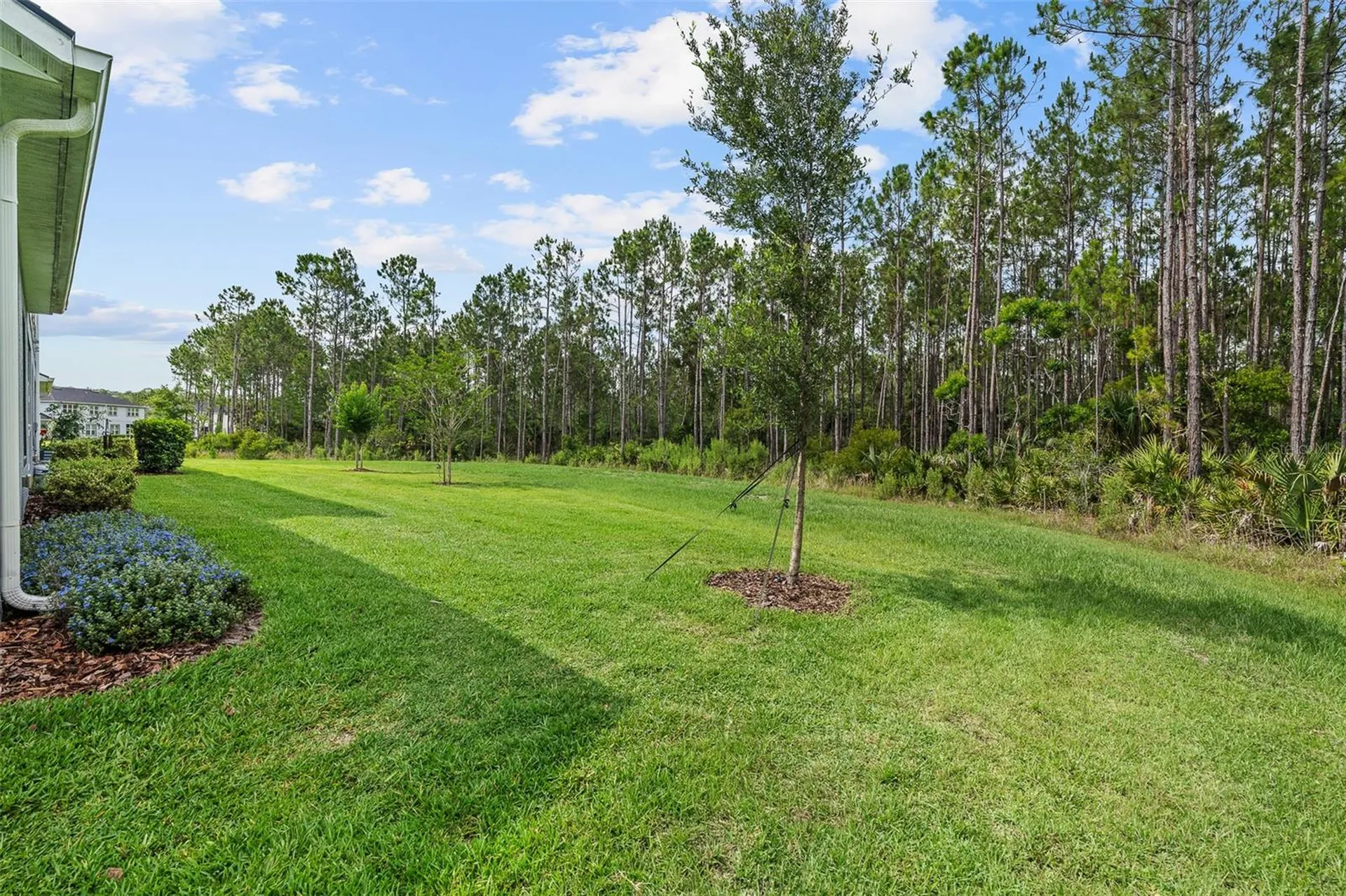 17 Newhaven Lane Ormond Beach FL 32174