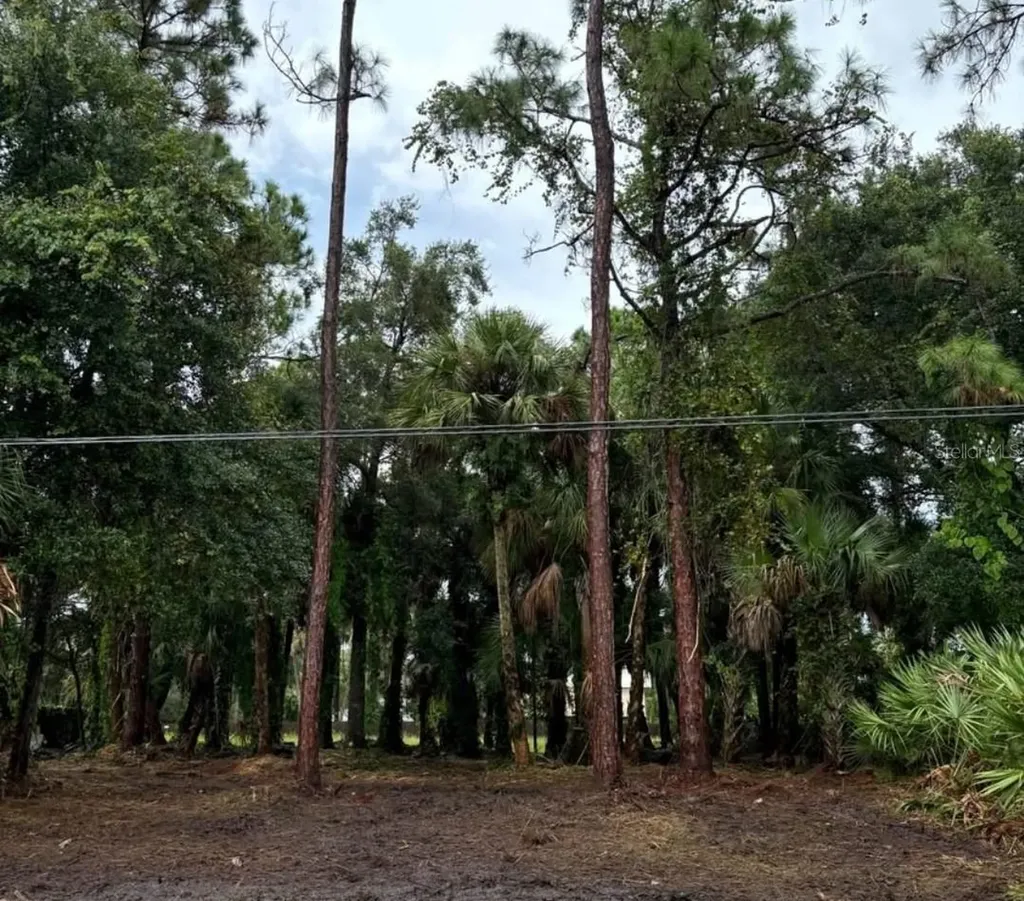 617 Harrington Street SW Palm Bay FL 32908