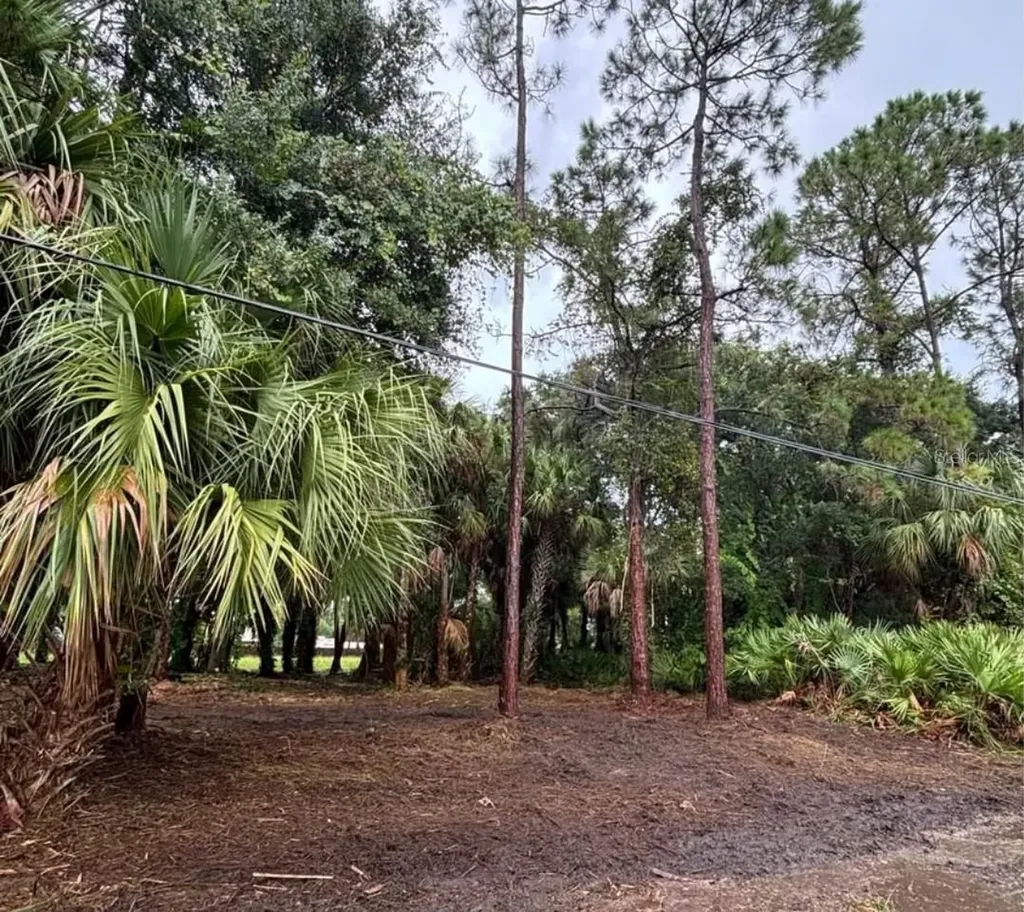 617 Harrington Street SW Palm Bay FL 32908