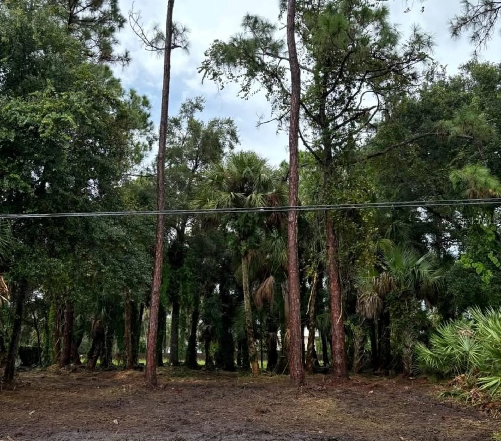 617 Harrington Street SW Palm Bay FL 32908