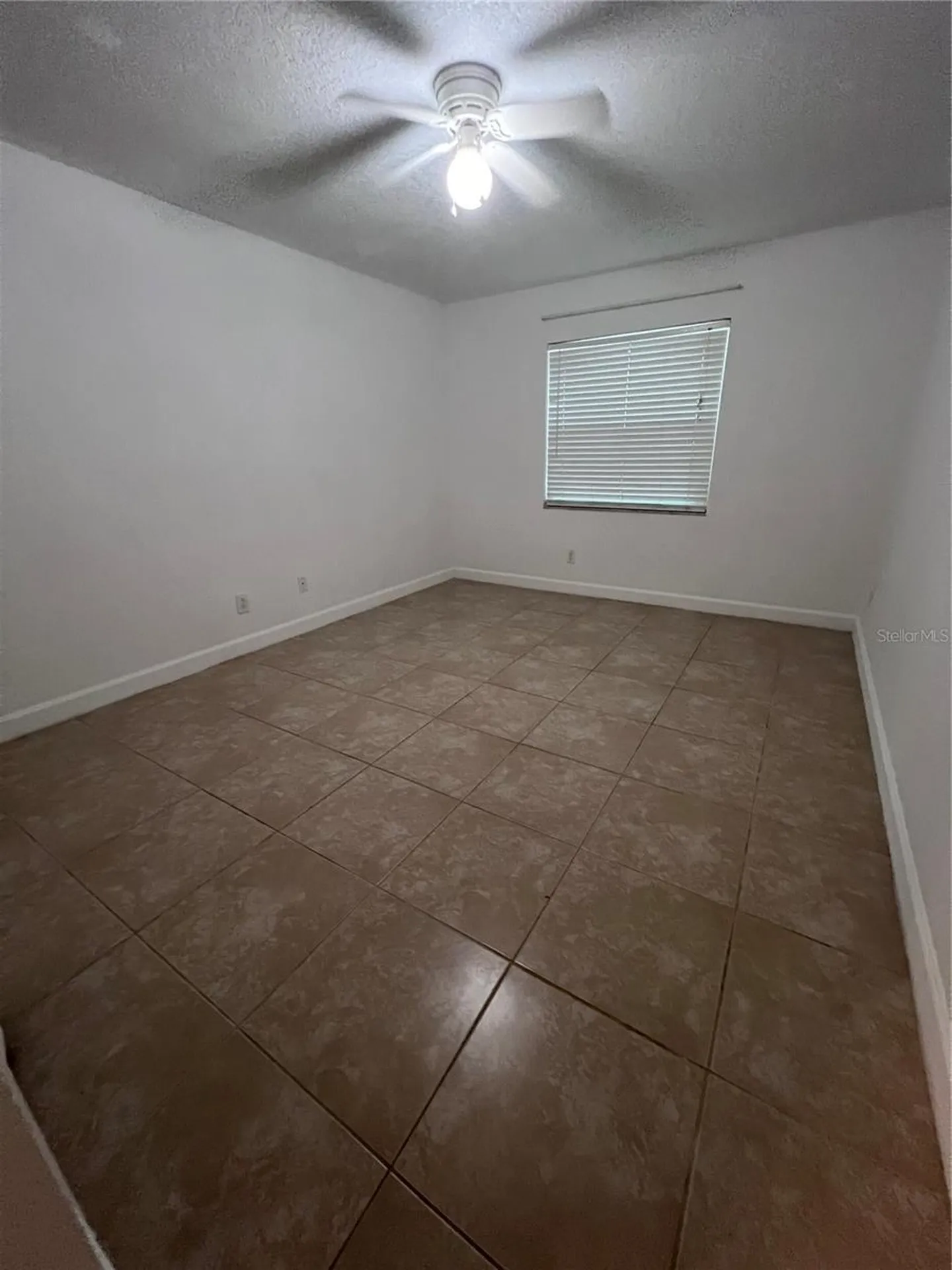 226 Thorn Tree Place Brandon FL 33510