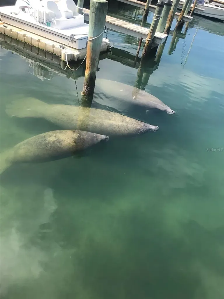 767 John Ringling Boulevard Sarasota FL 34236