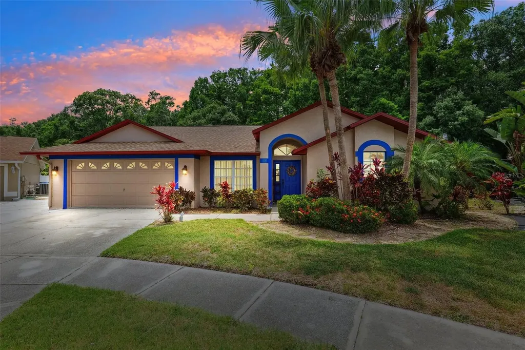 6505 Broadwing Court Tampa FL 33625