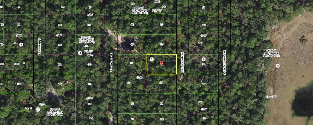3862 S Killdeer Avenue Inverness FL 34450