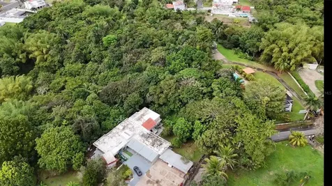 Bo. Rio Cañas Caguas PR 00725