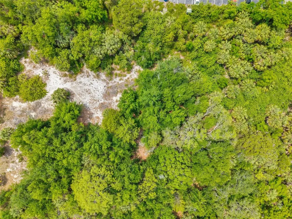 Lakeshore Boulevard Hudson FL 34667