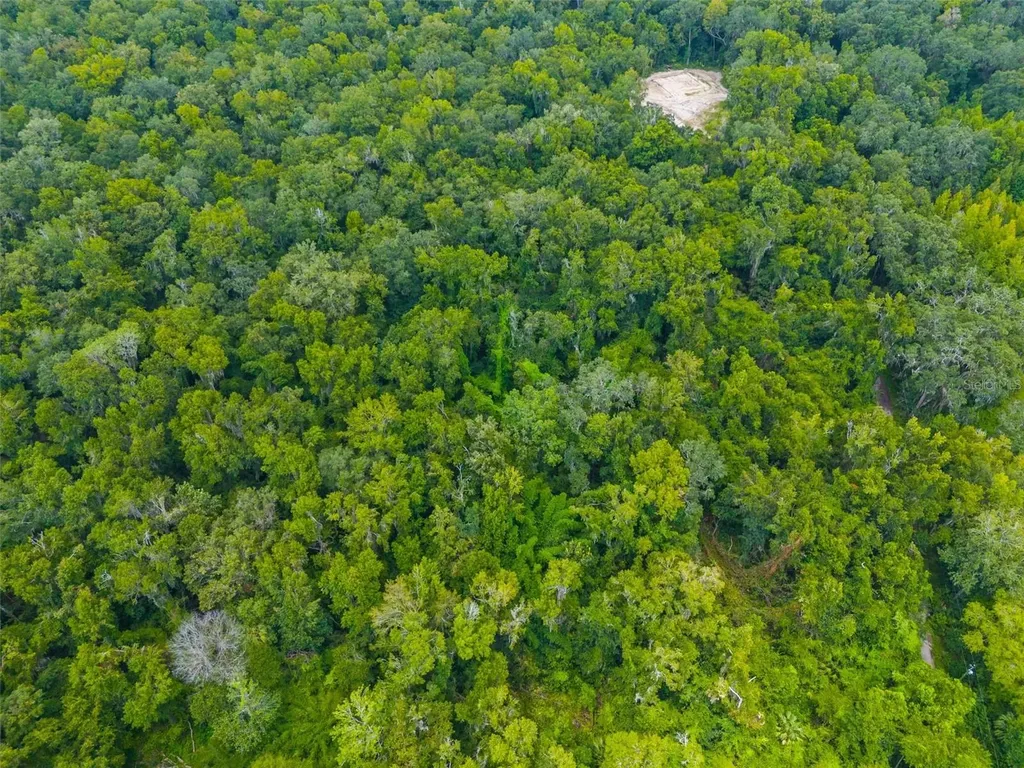 Rain Forest Road Brooksville FL 34601