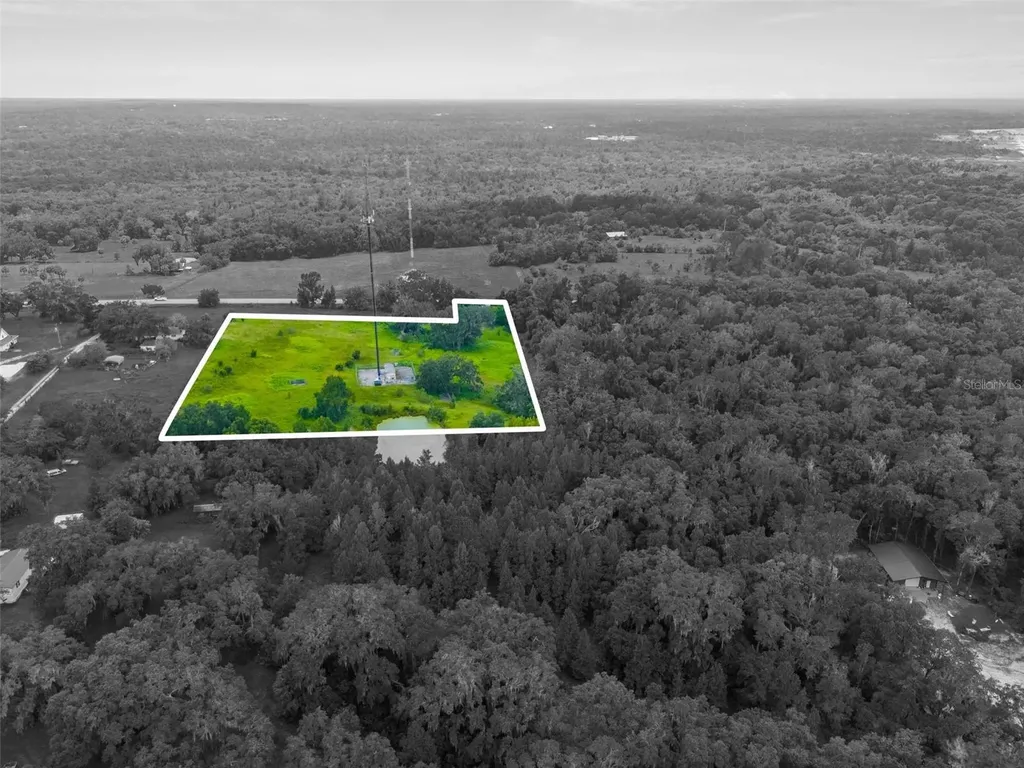 Rain Forest Road Brooksville FL 34601