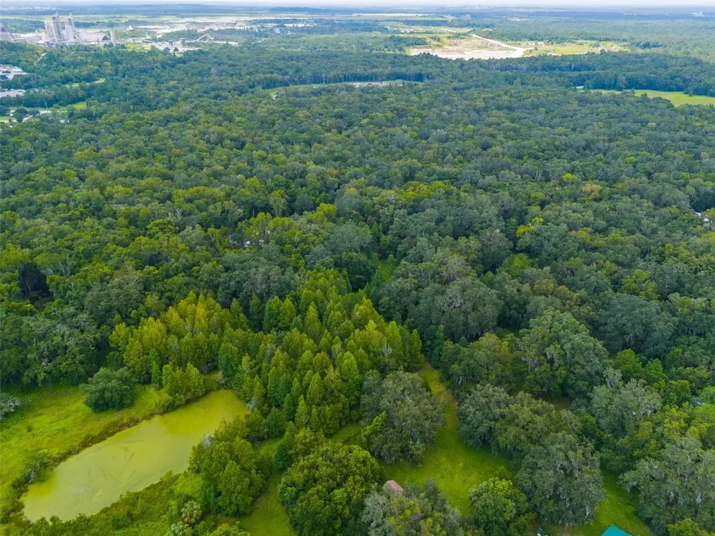 Rain Forest Road Brooksville FL 34601