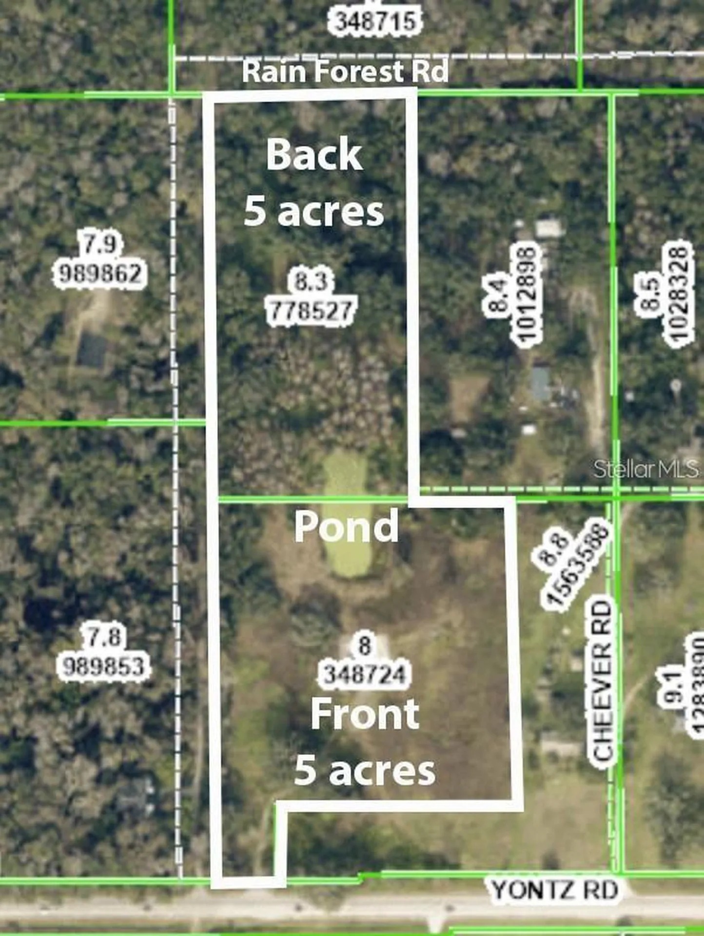 Rain Forest Road Brooksville FL 34601