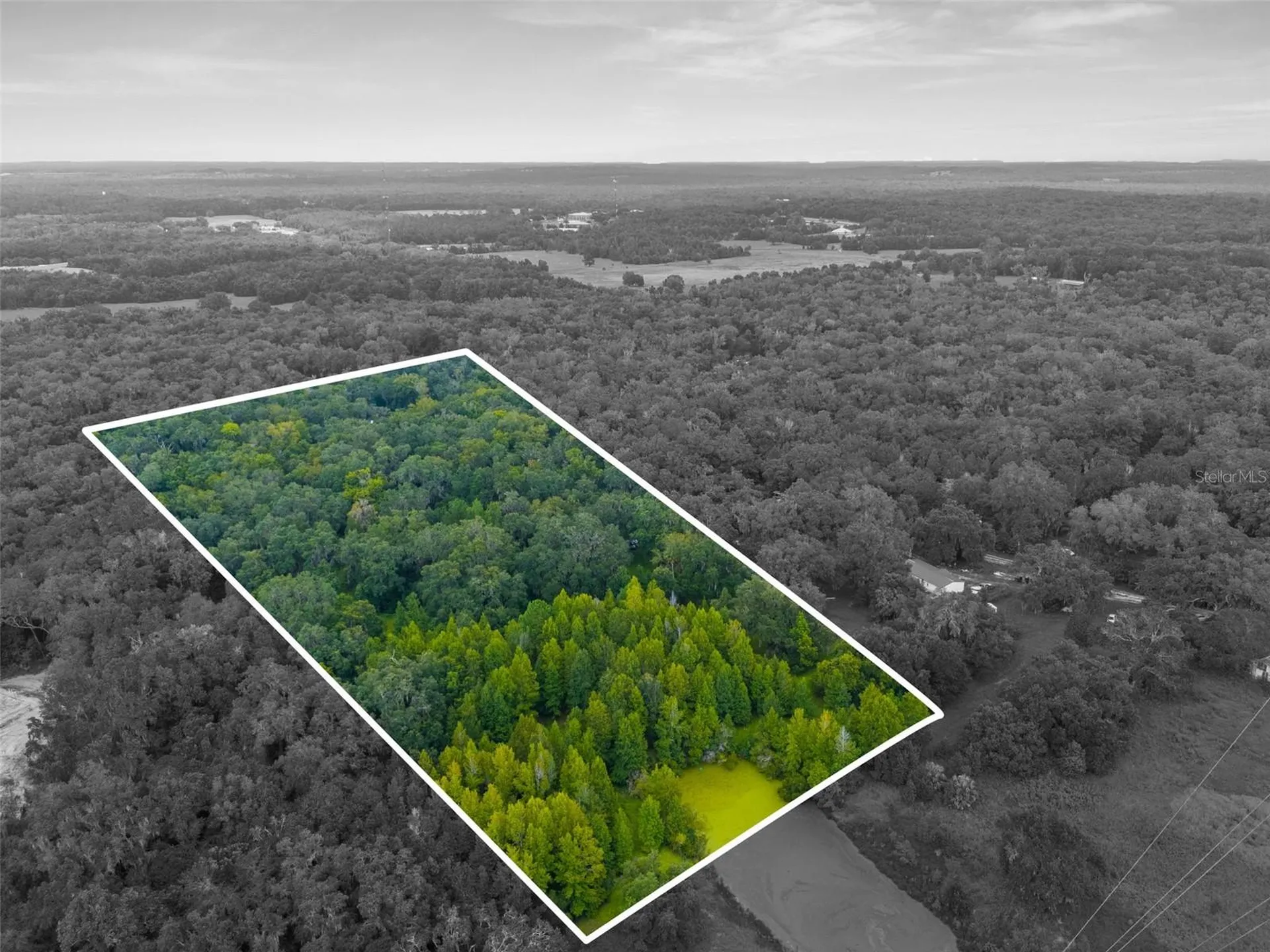 Rain Forest Road Brooksville FL 34601