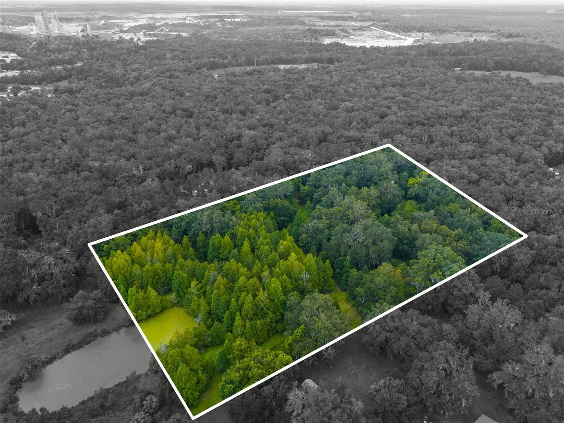 Rain Forest Road Brooksville FL 34601