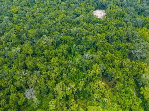 Rain Forest Road Brooksville FL 34601