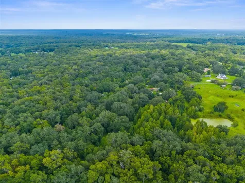 Rain Forest Road Brooksville FL 34601