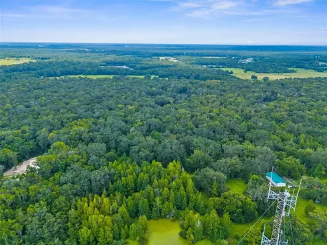 Rain Forest Road Brooksville FL 34601