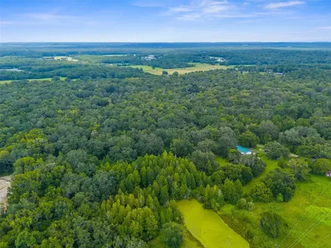 Rain Forest Road Brooksville FL 34601