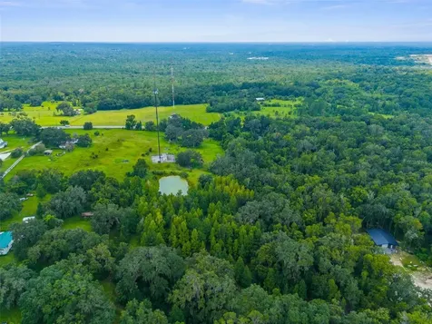 Rain Forest Road Brooksville FL 34601