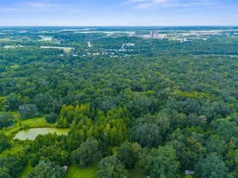Rain Forest Road Brooksville FL 34601