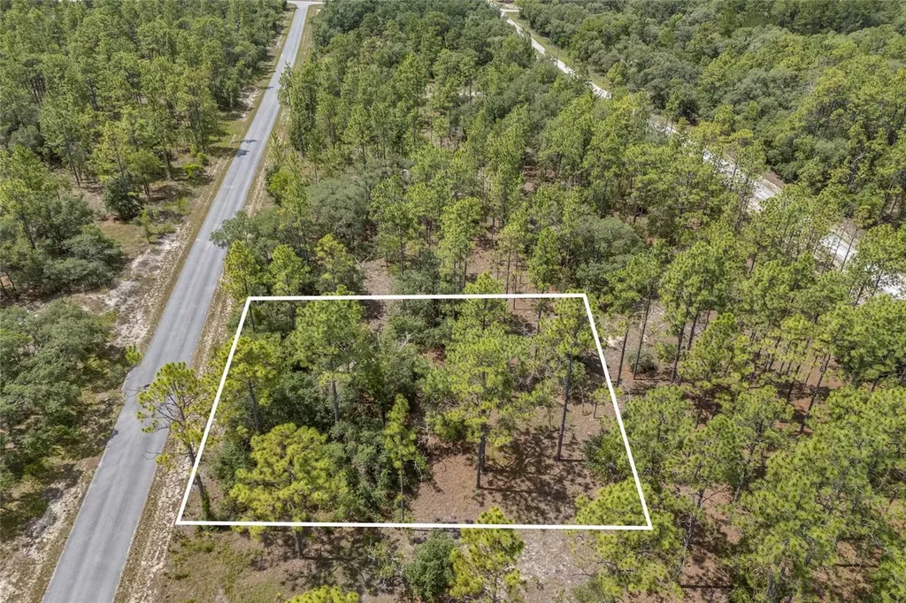 SW 134 Terrace Dunnellon FL 34431
