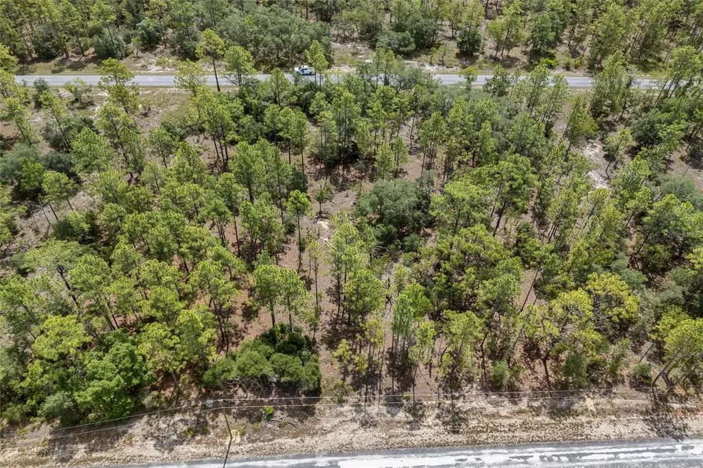 SW 134 Terrace Dunnellon FL 34431