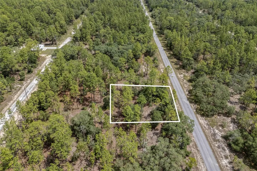SW 134 Terrace Dunnellon FL 34431