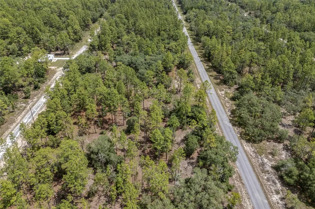 SW 134 Terrace Dunnellon FL 34431