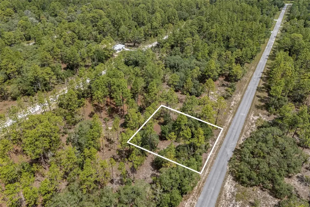 SW 134 Terrace Dunnellon FL 34431