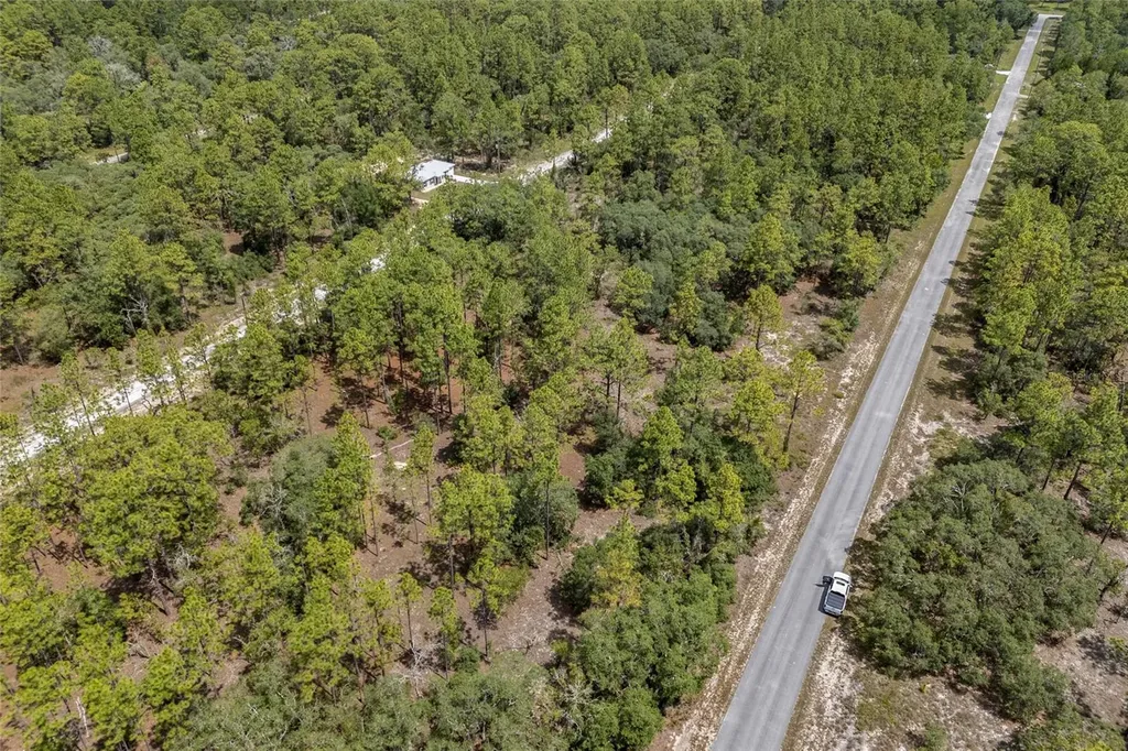 SW 134 Terrace Dunnellon FL 34431