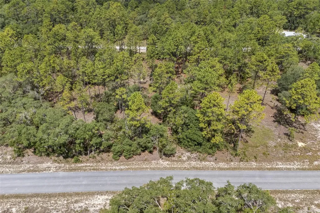 SW 134 Terrace Dunnellon FL 34431