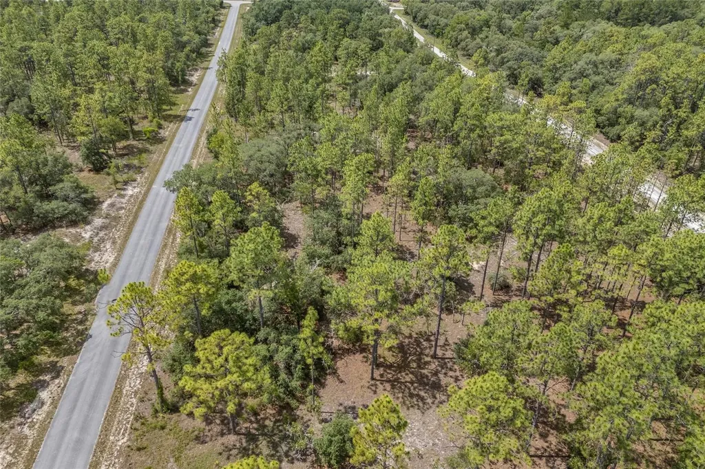 SW 134 Terrace Dunnellon FL 34431