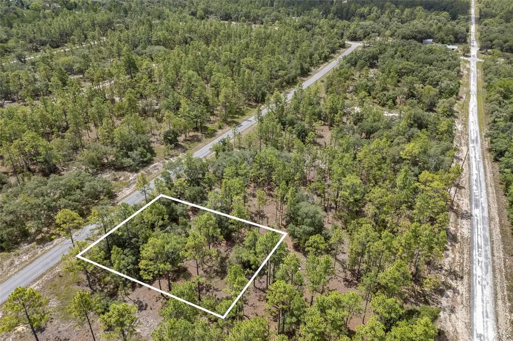 SW 134 Terrace Dunnellon FL 34431