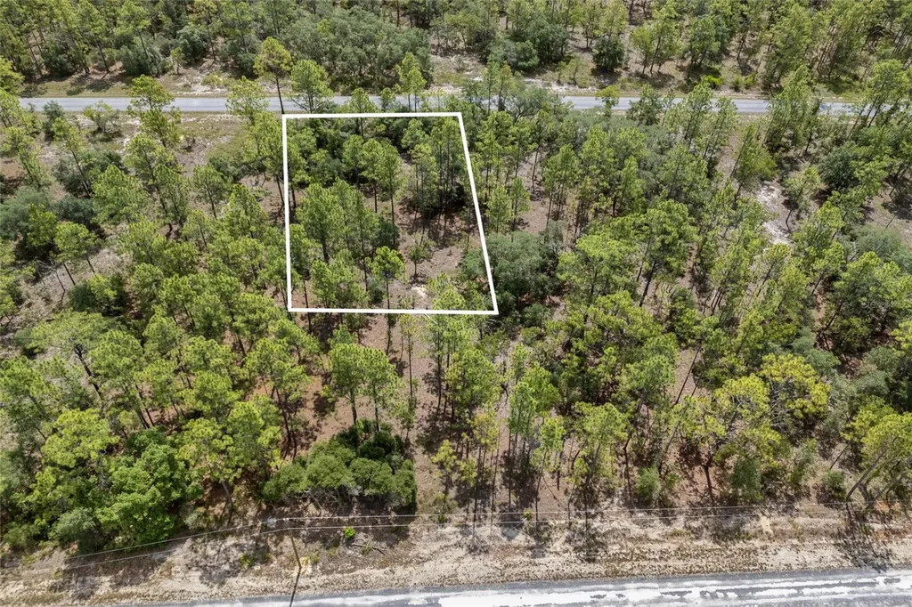 SW 134 Terrace Dunnellon FL 34431