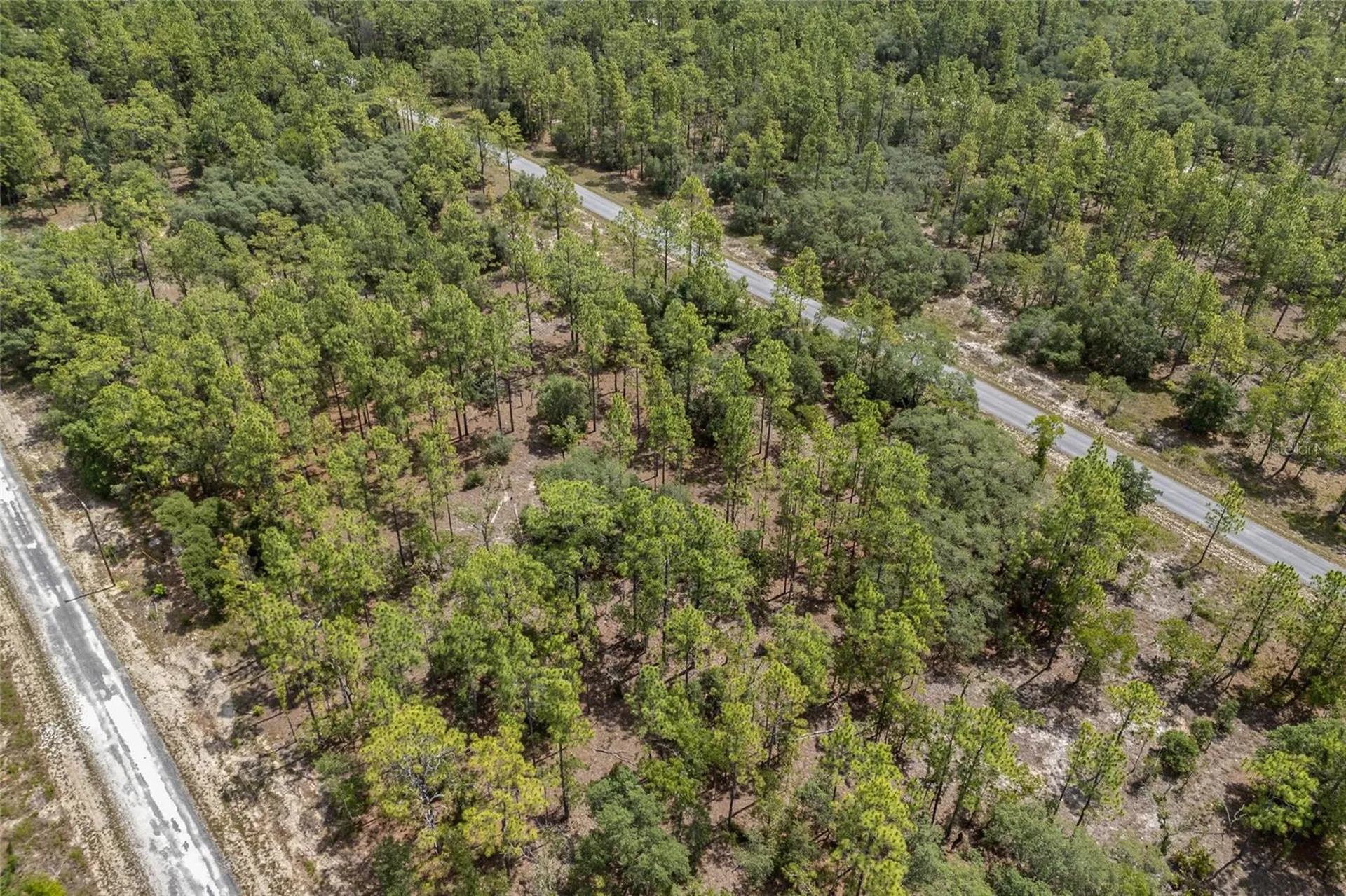SW 134 Terrace Dunnellon FL 34431