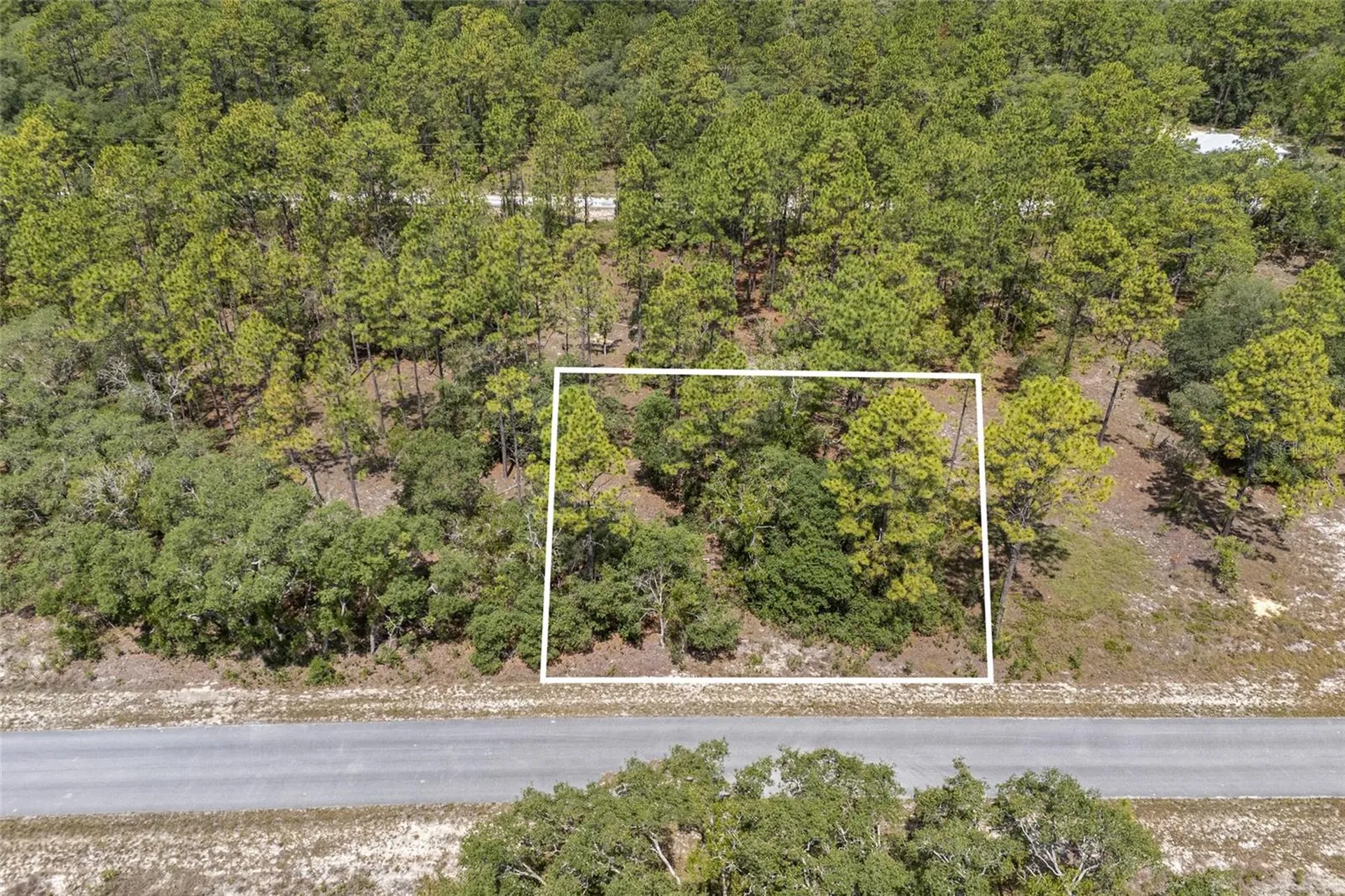 SW 134 Terrace Dunnellon FL 34431