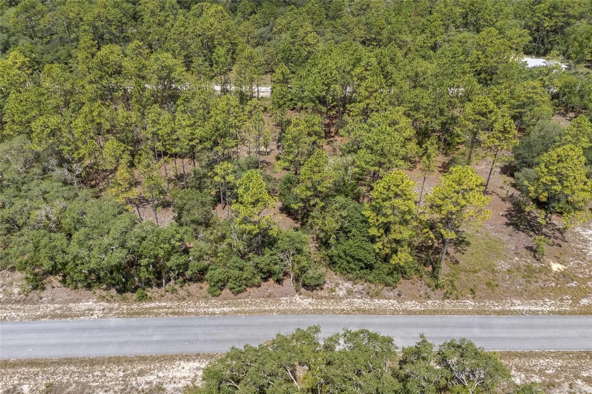 SW 134 Terrace Dunnellon FL 34431