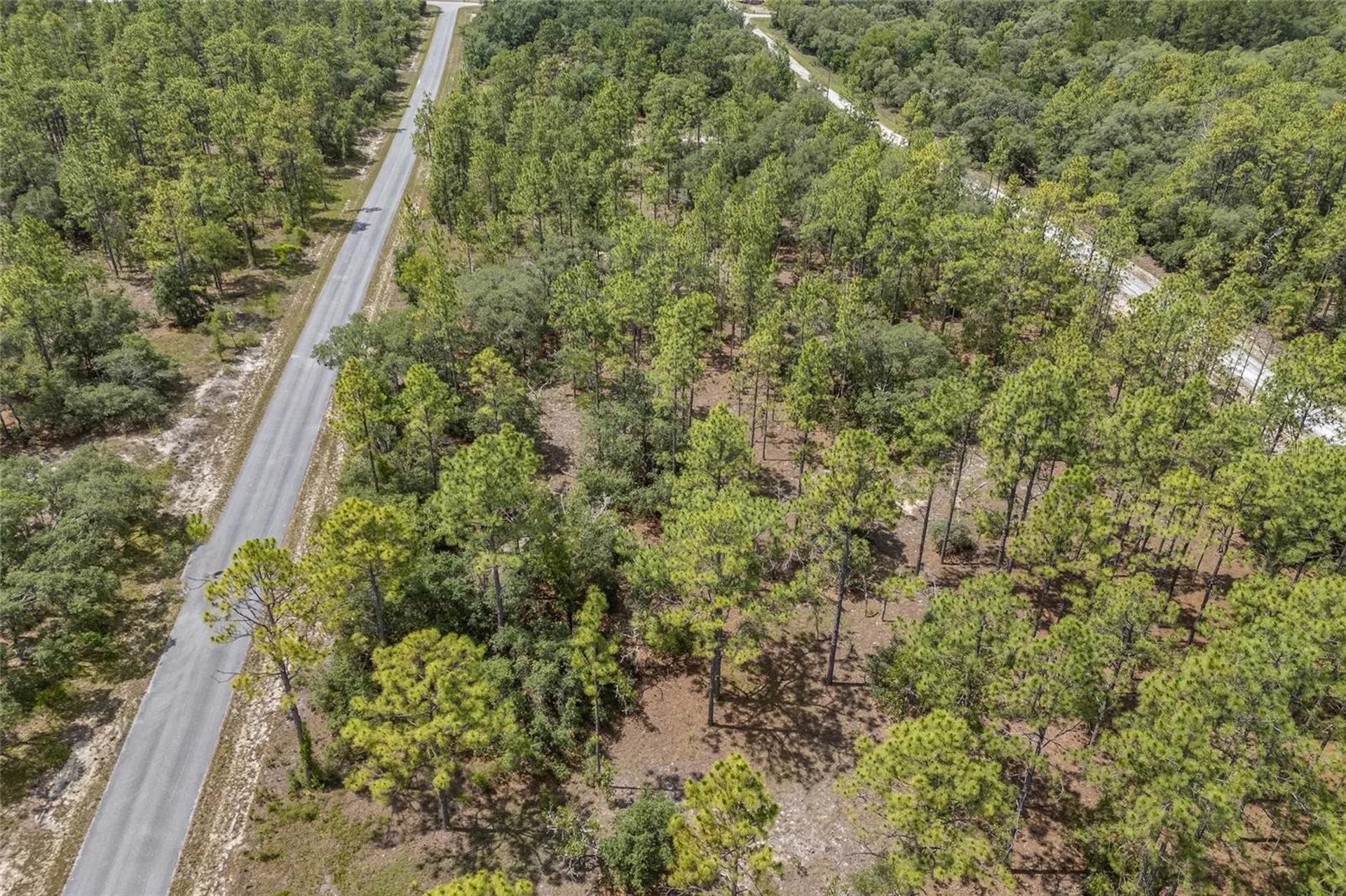 SW 134 Terrace Dunnellon FL 34431
