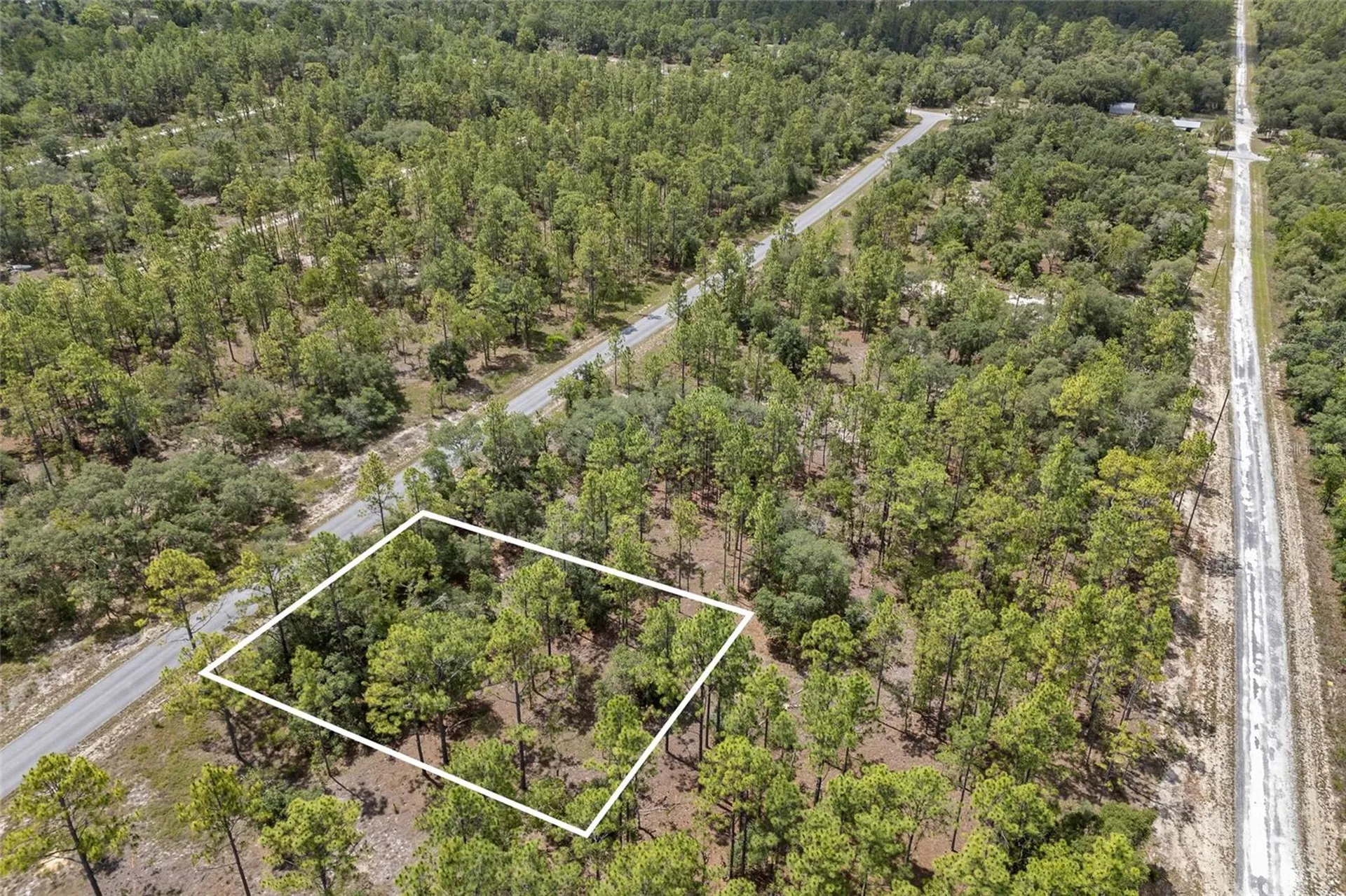 SW 134 Terrace Dunnellon FL 34431