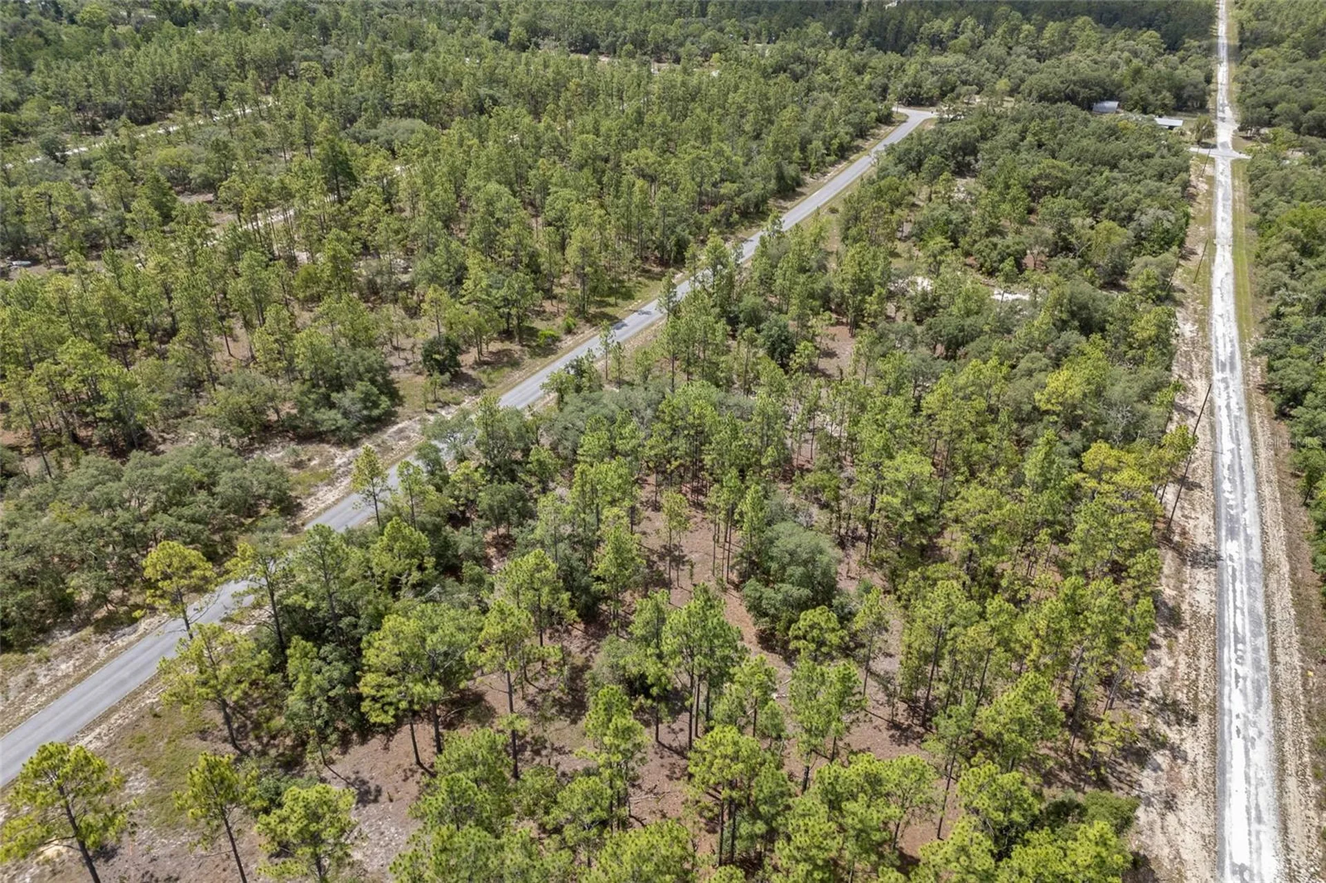 SW 134 Terrace Dunnellon FL 34431