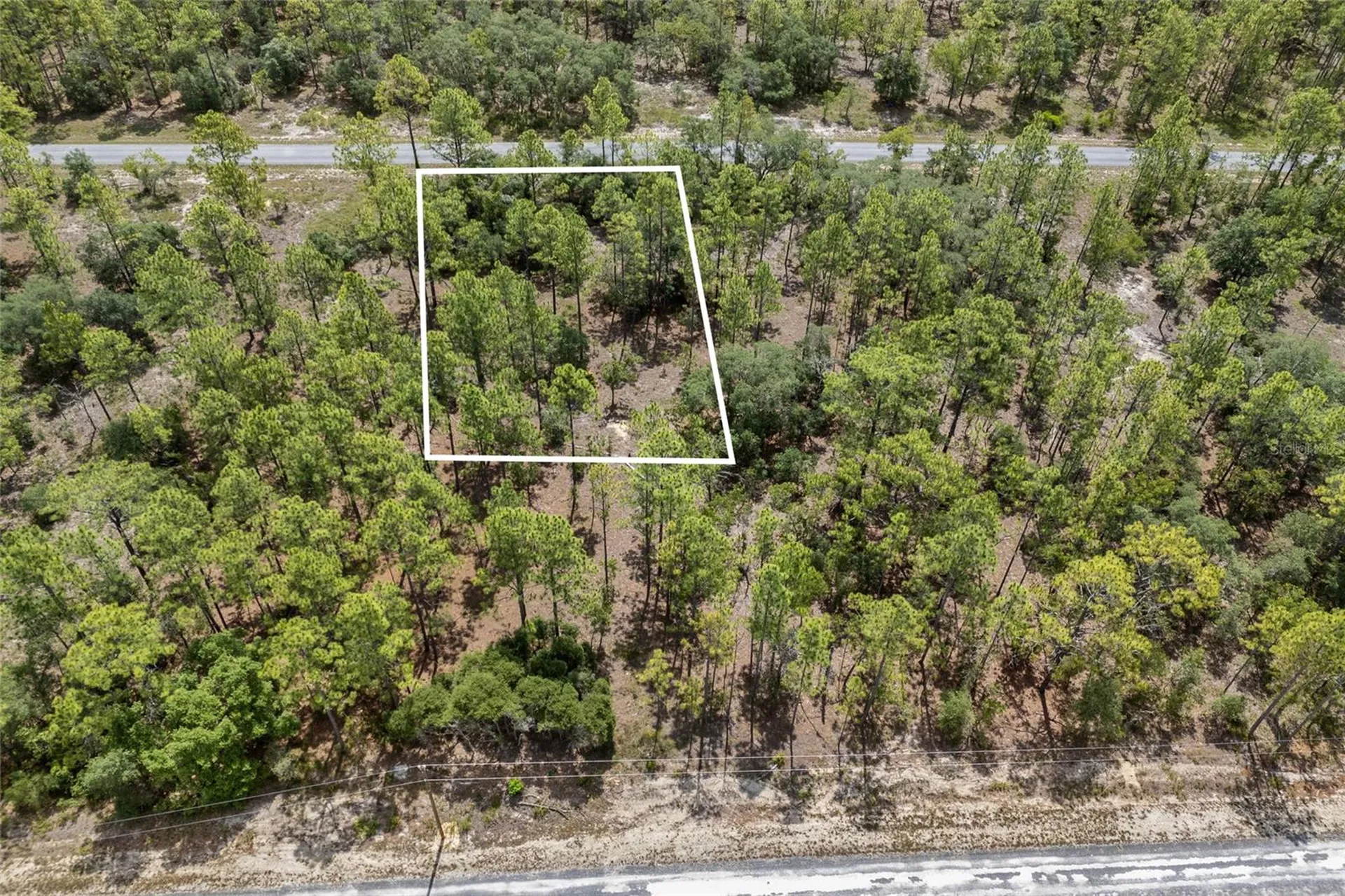 SW 134 Terrace Dunnellon FL 34431
