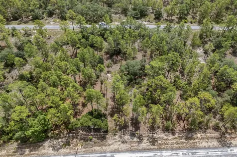 SW 134 Terrace Dunnellon FL 34431