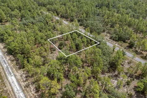 SW 134 Terrace Dunnellon FL 34431