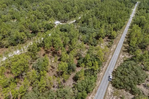 SW 134 Terrace Dunnellon FL 34431