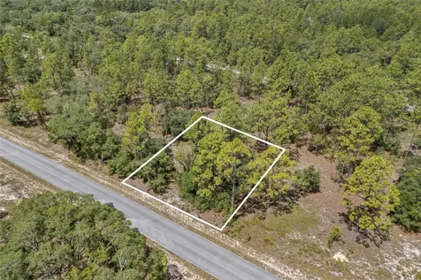 SW 134 Terrace Dunnellon FL 34431